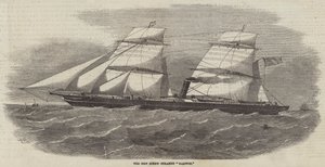 O Novo Parafuso Steamer Barwon